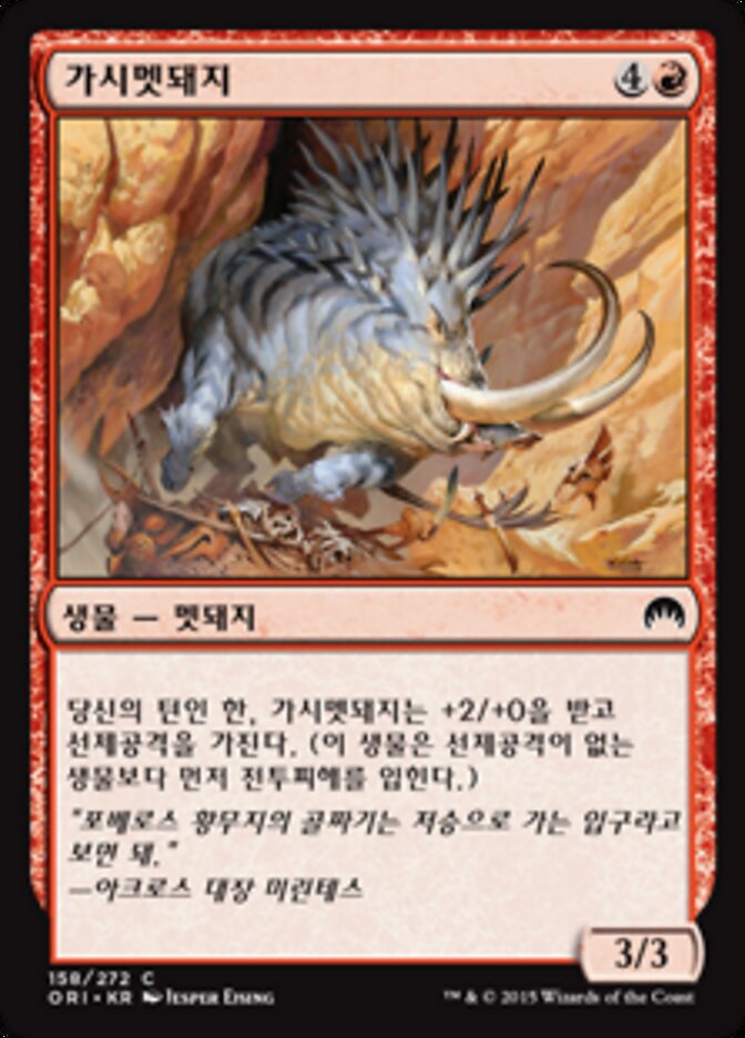 가시멧돼지