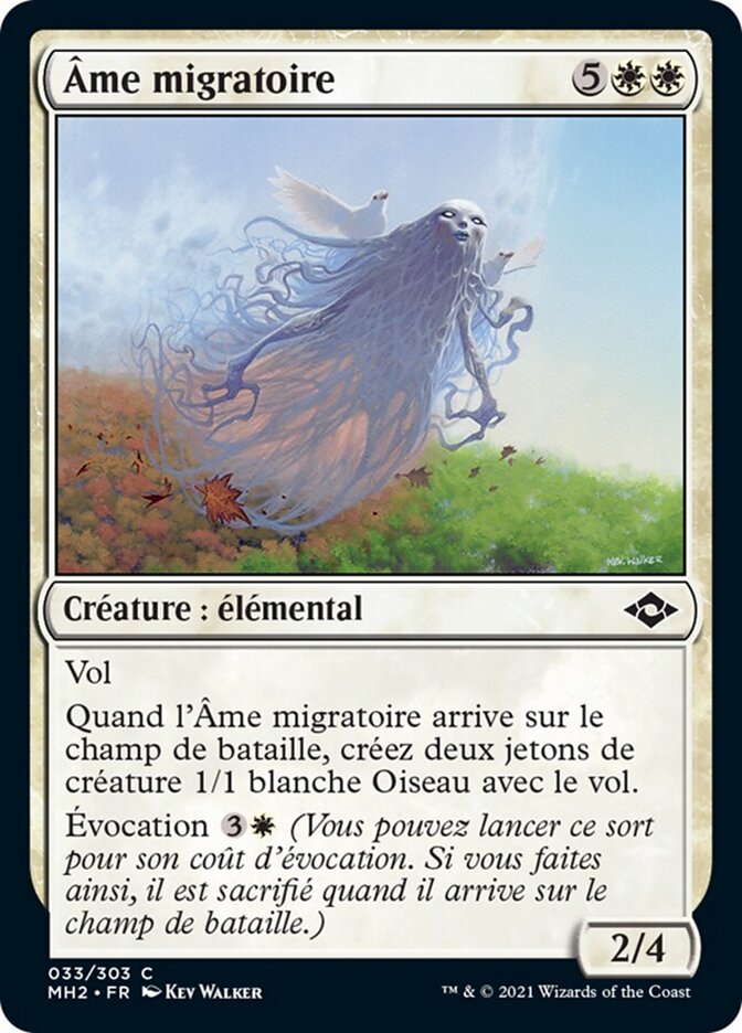 Âme migratoire