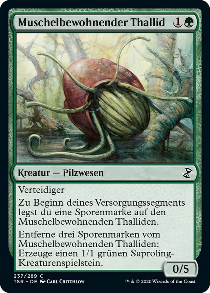 Muschelbewohnender Thallid