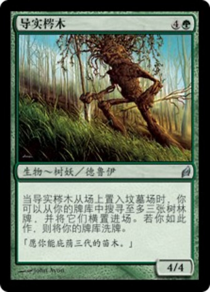 导实梣木