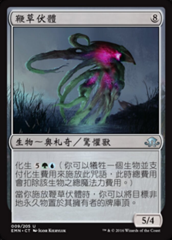 鞭草伏體