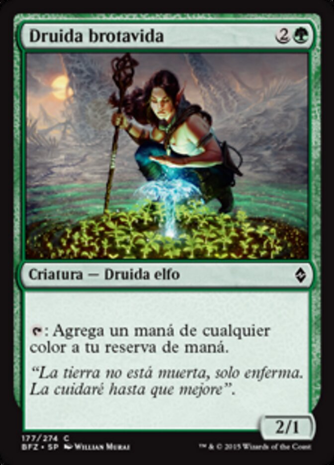 Druida brotavida