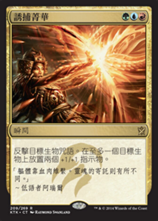 誘捕菁華