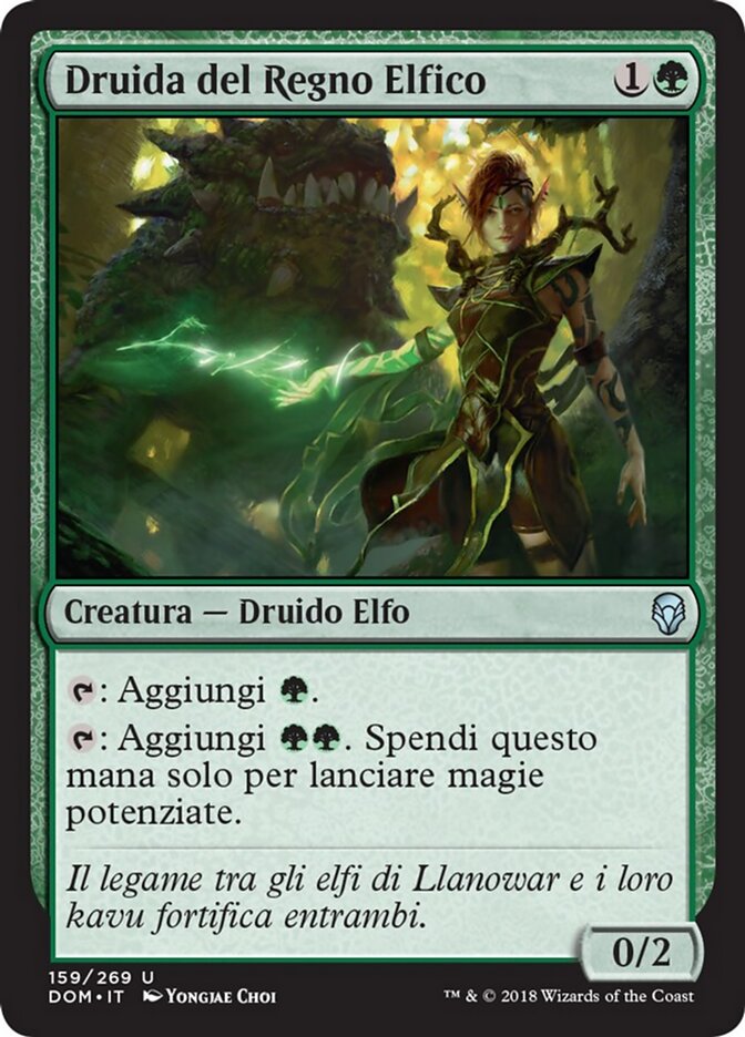 Druida del Regno Elfico