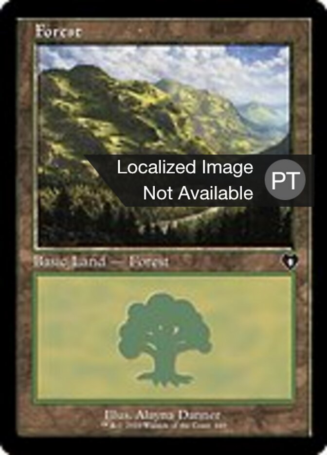 Forest