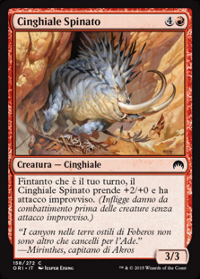 Cinghiale Spinato