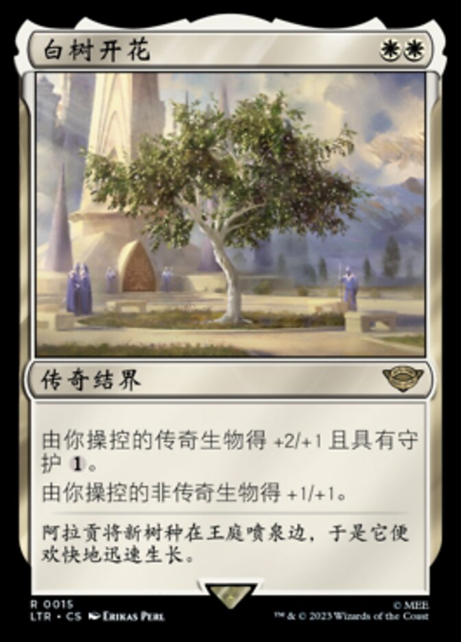 白树开花