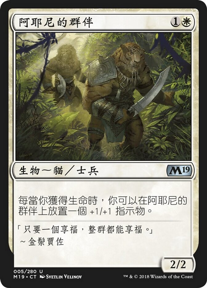 阿耶尼的群伴