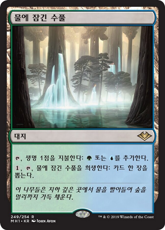 물에 잠긴 수풀