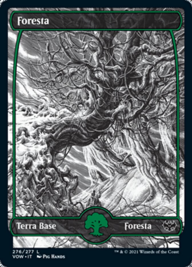 Foresta