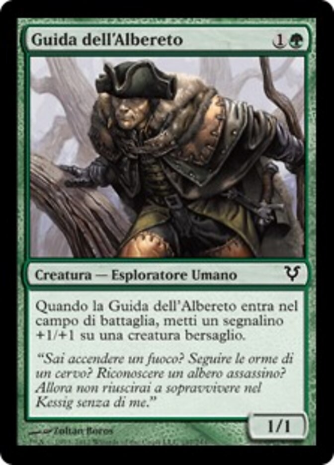 Guida dell'Albereto