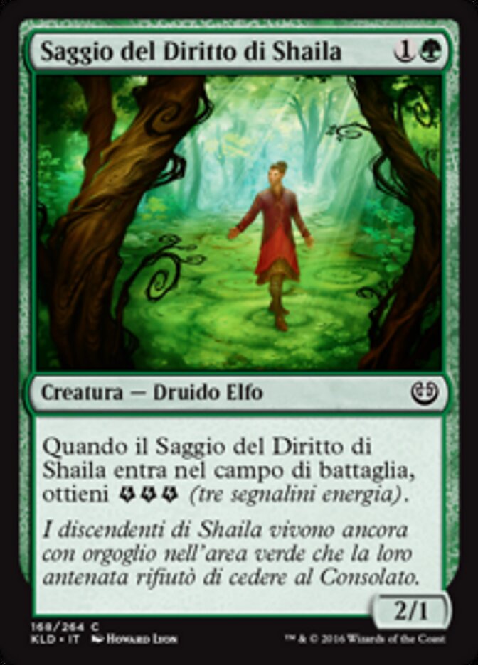 Saggio del Diritto di Shaila