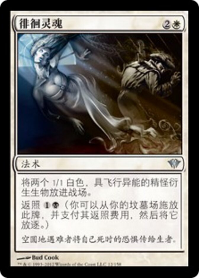 徘徊灵魂