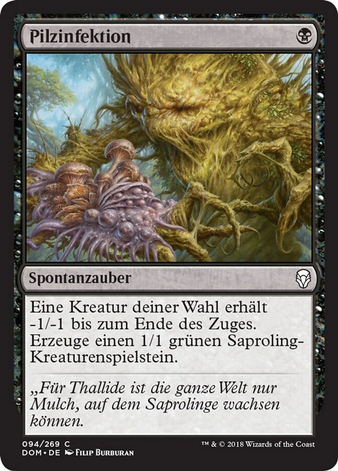 Pilzinfektion