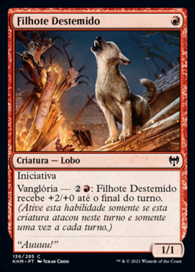 Filhote Destemido