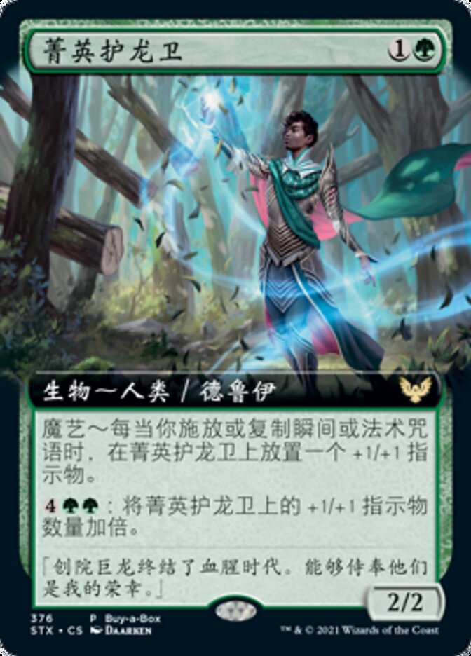 菁英护龙卫