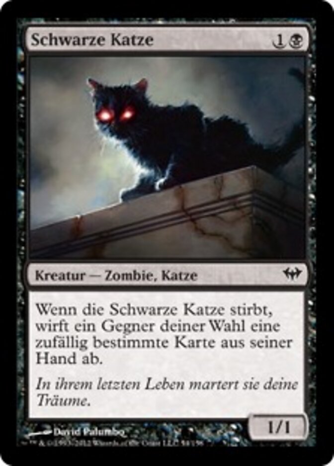 Schwarze Katze