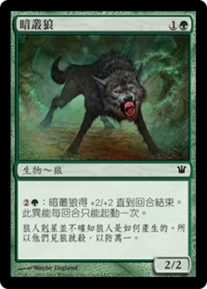 暗叢狼