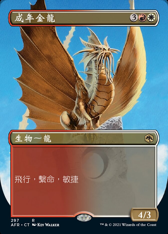 成年金龍