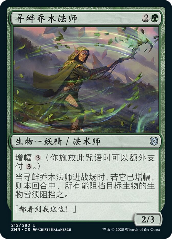 寻衅乔木法师