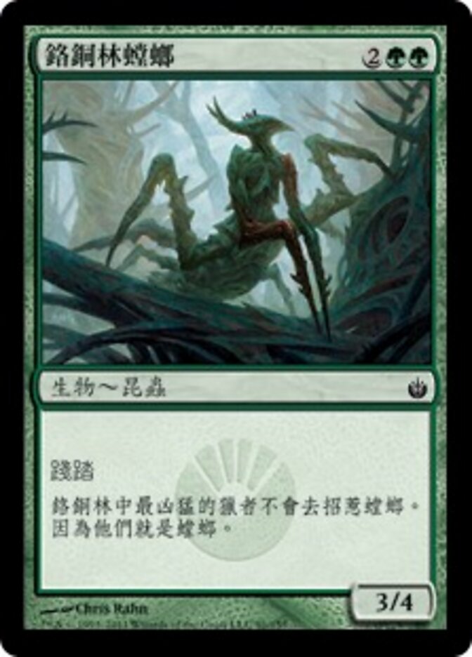 鉻銅林螳螂