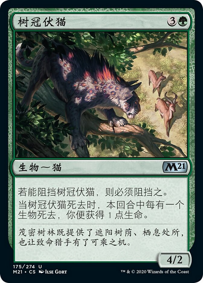 树冠伏猫