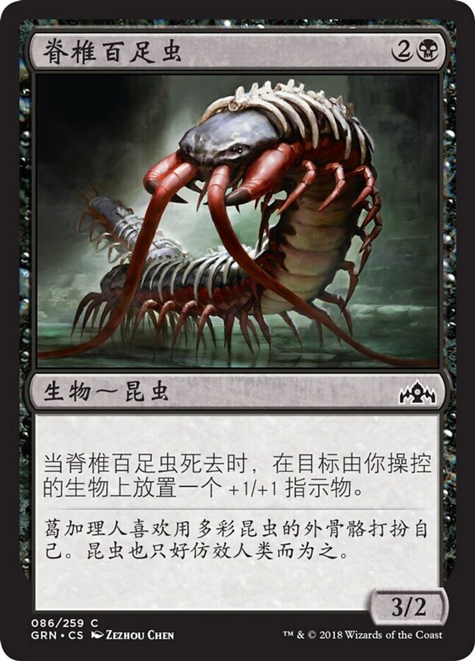 脊椎百足虫