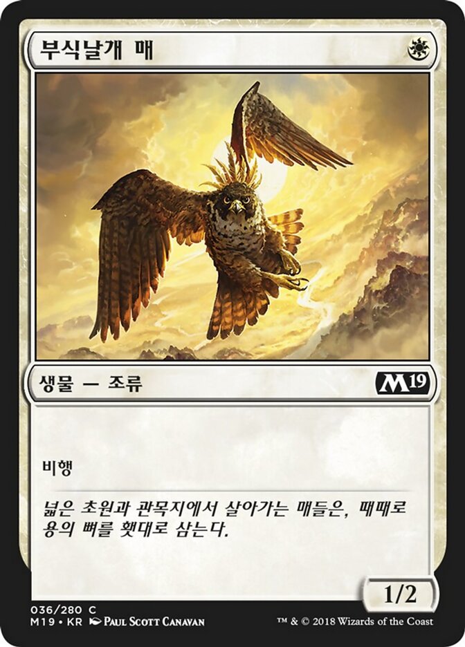 부식날개 매