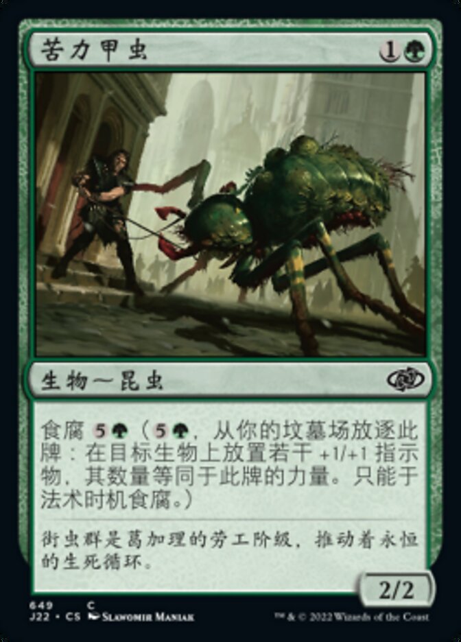 苦力甲虫
