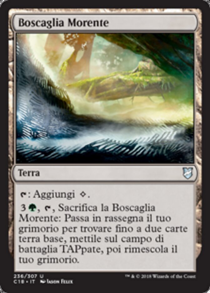 Boscaglia Morente