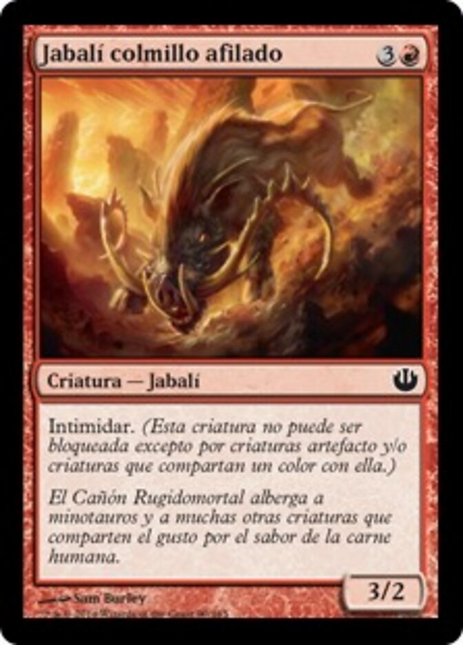 Jabalí colmillo afilado