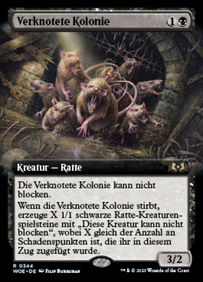 Verknotete Kolonie