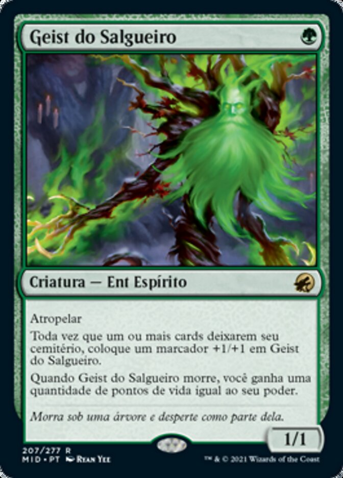 Geist do Salgueiro