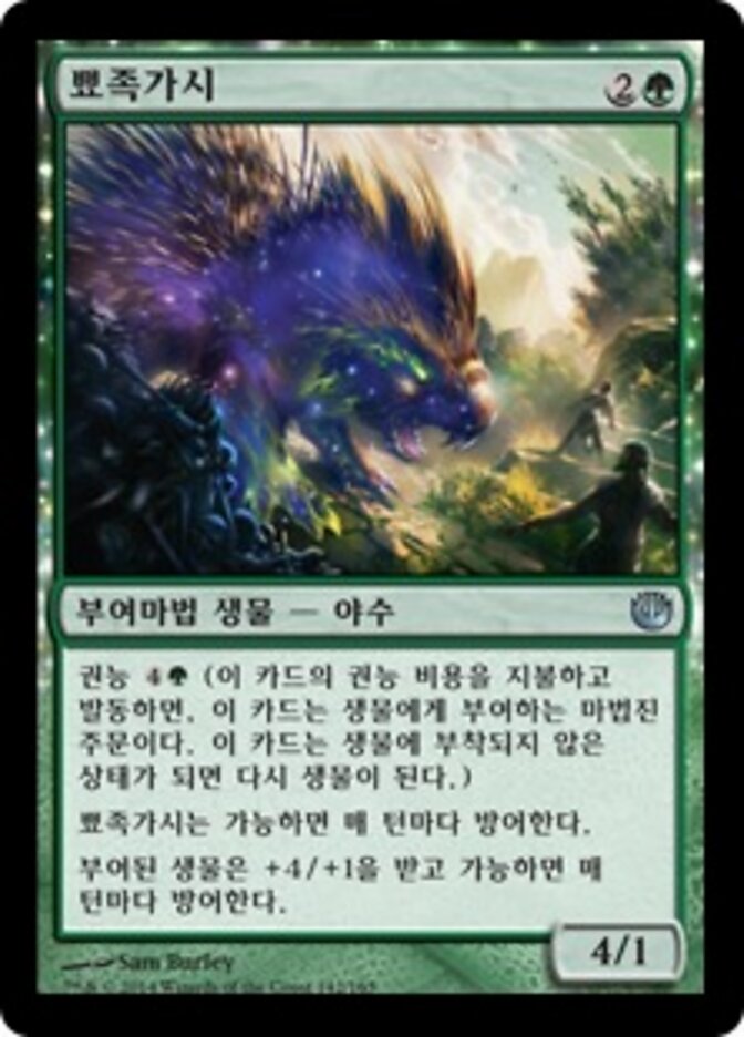 뾰족가시