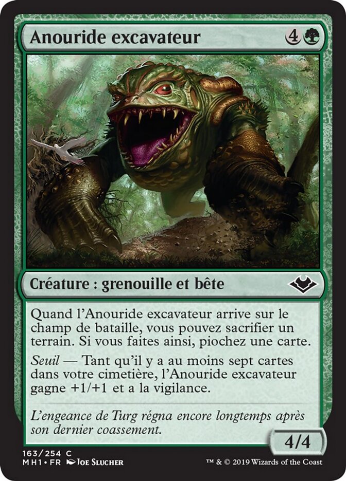 Anouride excavateur