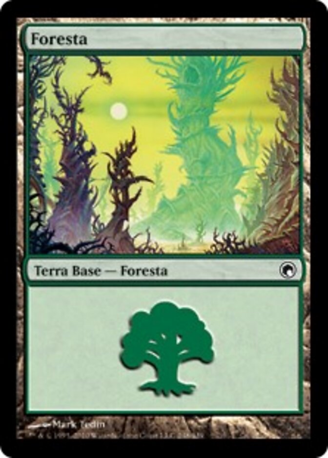 Foresta