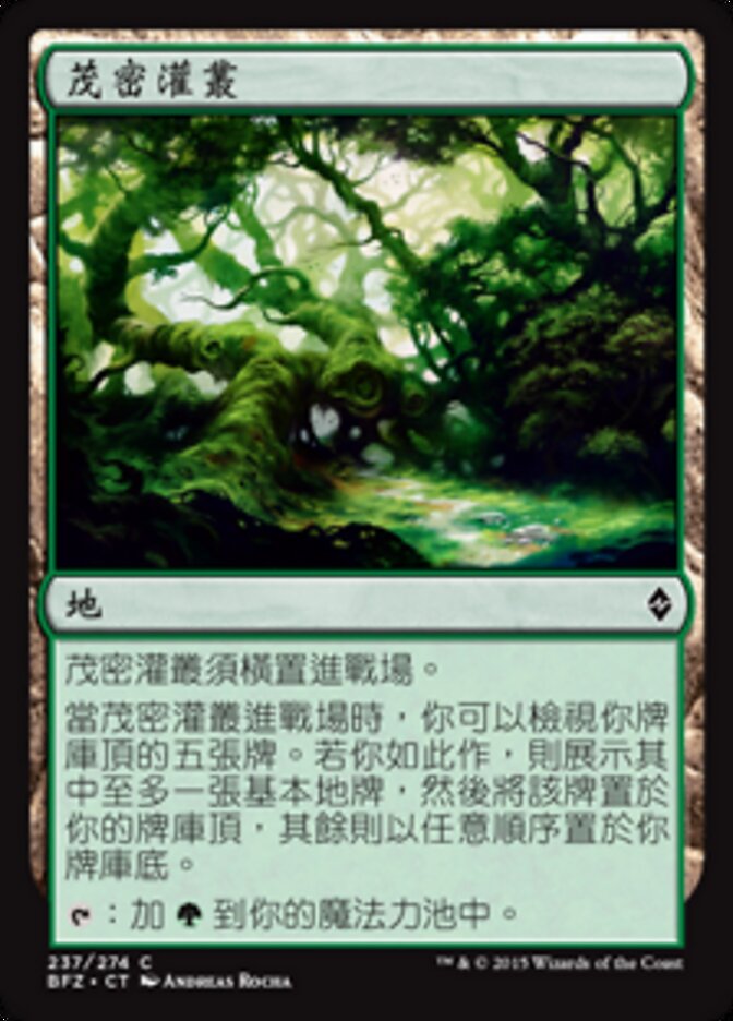 茂密灌叢