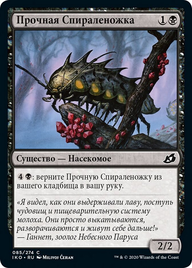 Прочная Спираленожка
