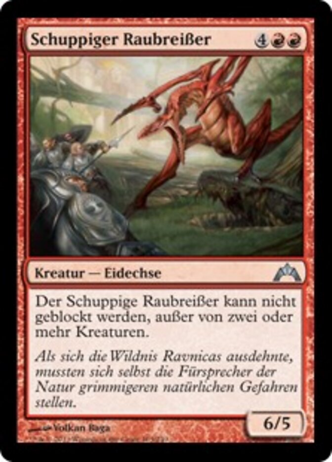 Schuppiger Raubreißer
