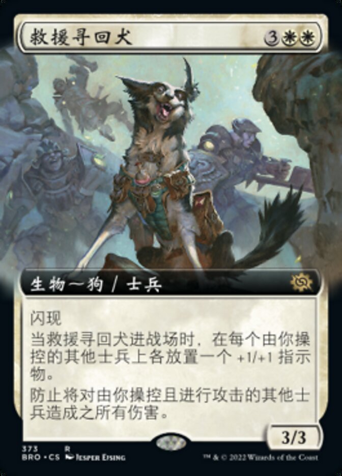 救援寻回犬