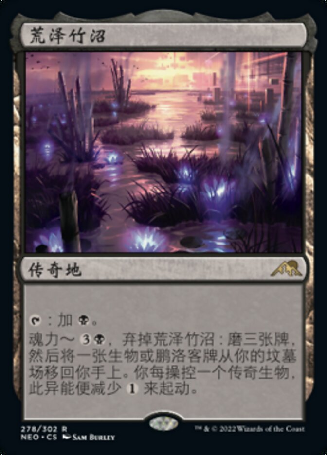 荒泽竹沼