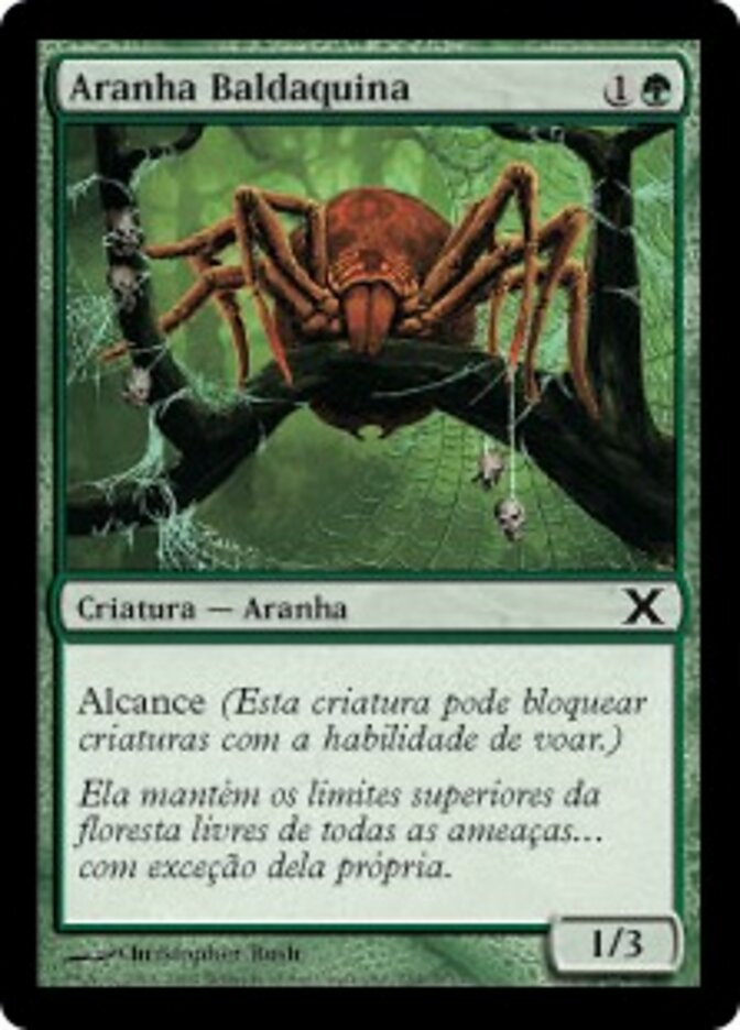 Aranha Baldaquina
