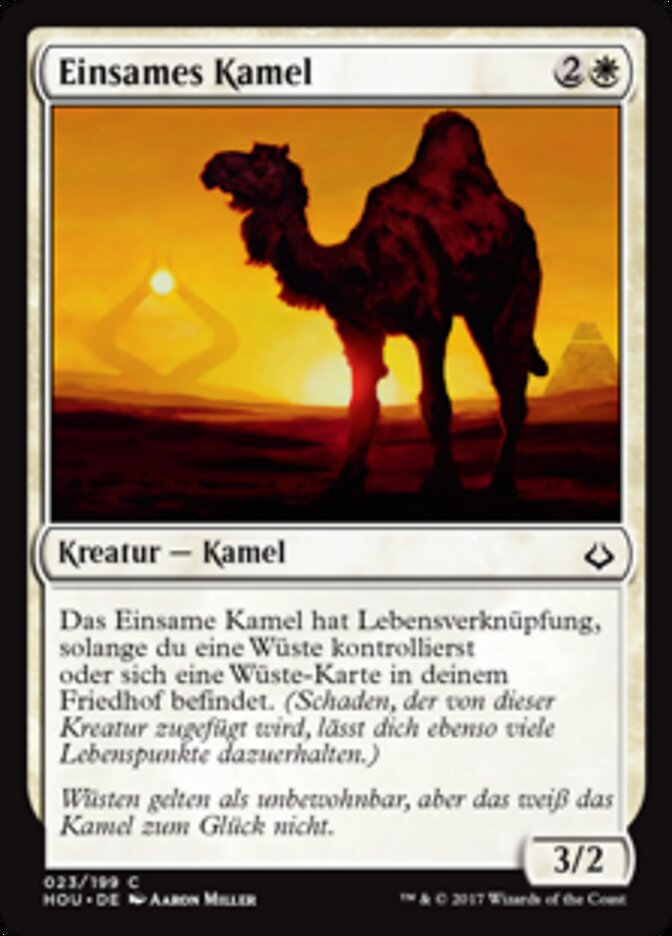 Einsames Kamel