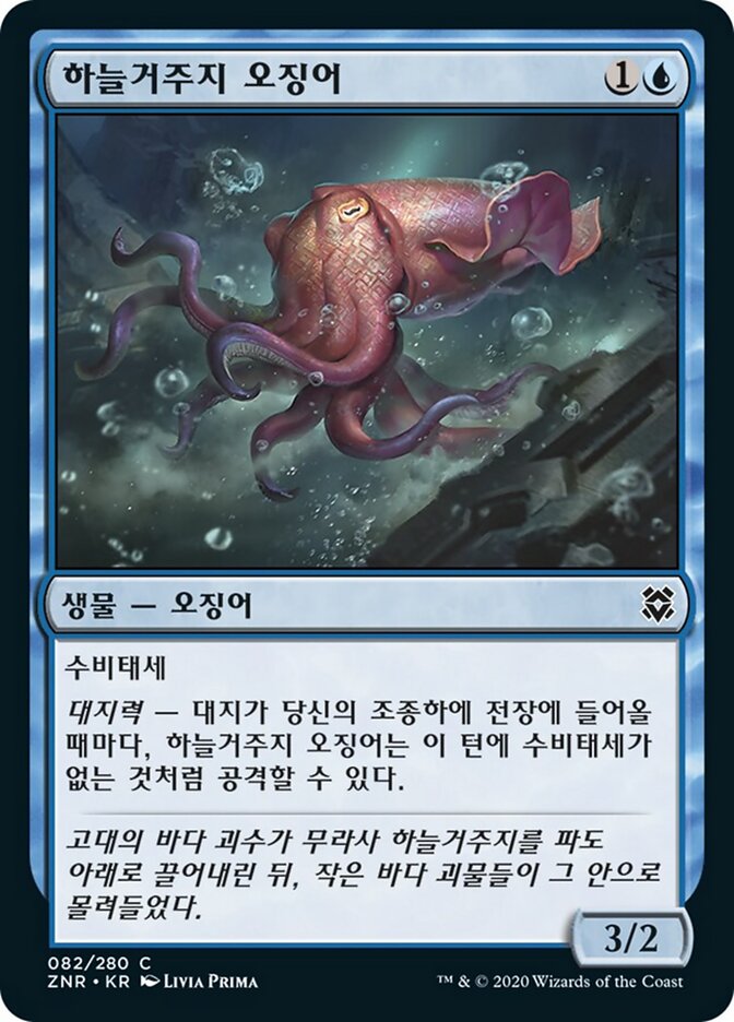 하늘거주지 오징어