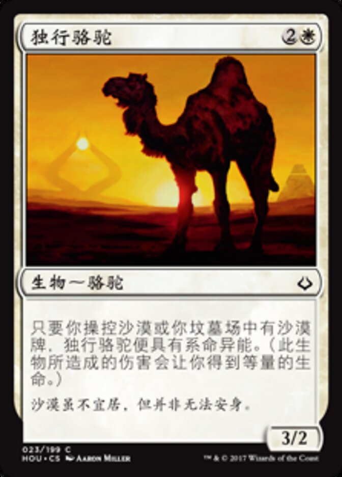独行骆驼