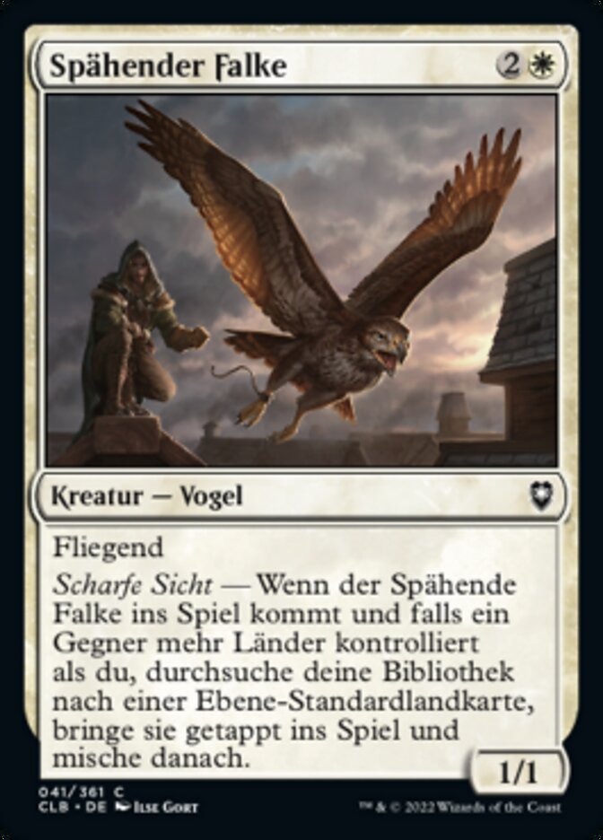 Spähender Falke