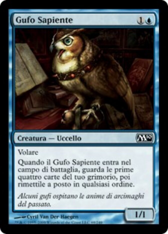 Gufo Sapiente