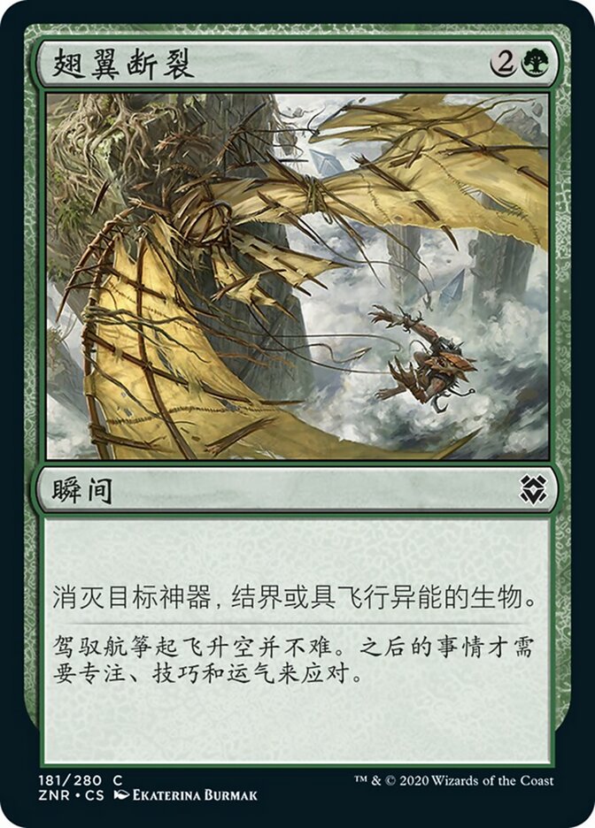 翅翼断裂
