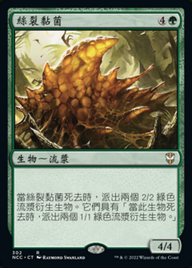 絲裂黏菌