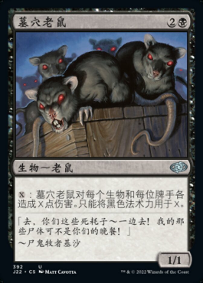 墓穴老鼠